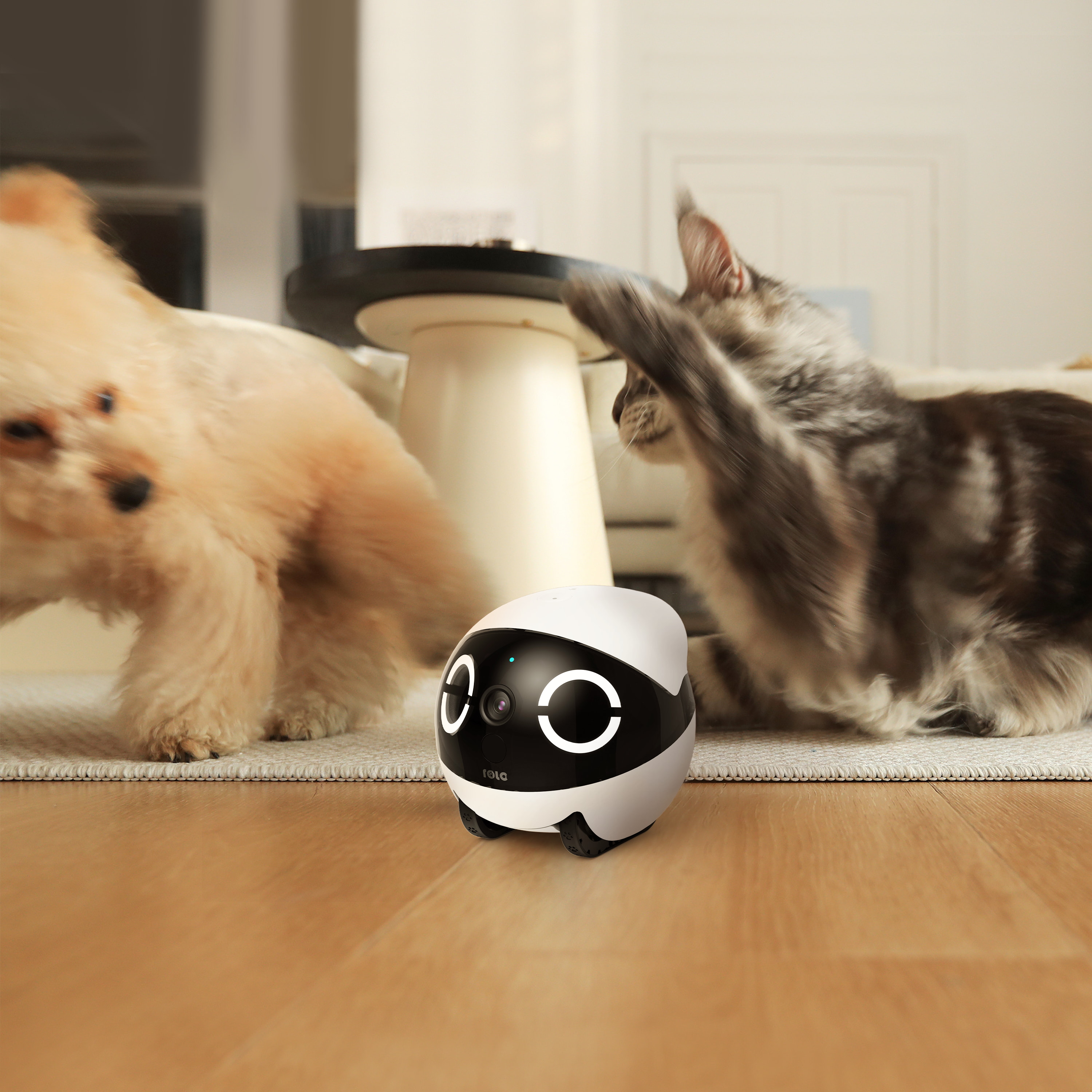 ROLA Mini Significant Other Ro - Home Security Robots ulasan dan harga