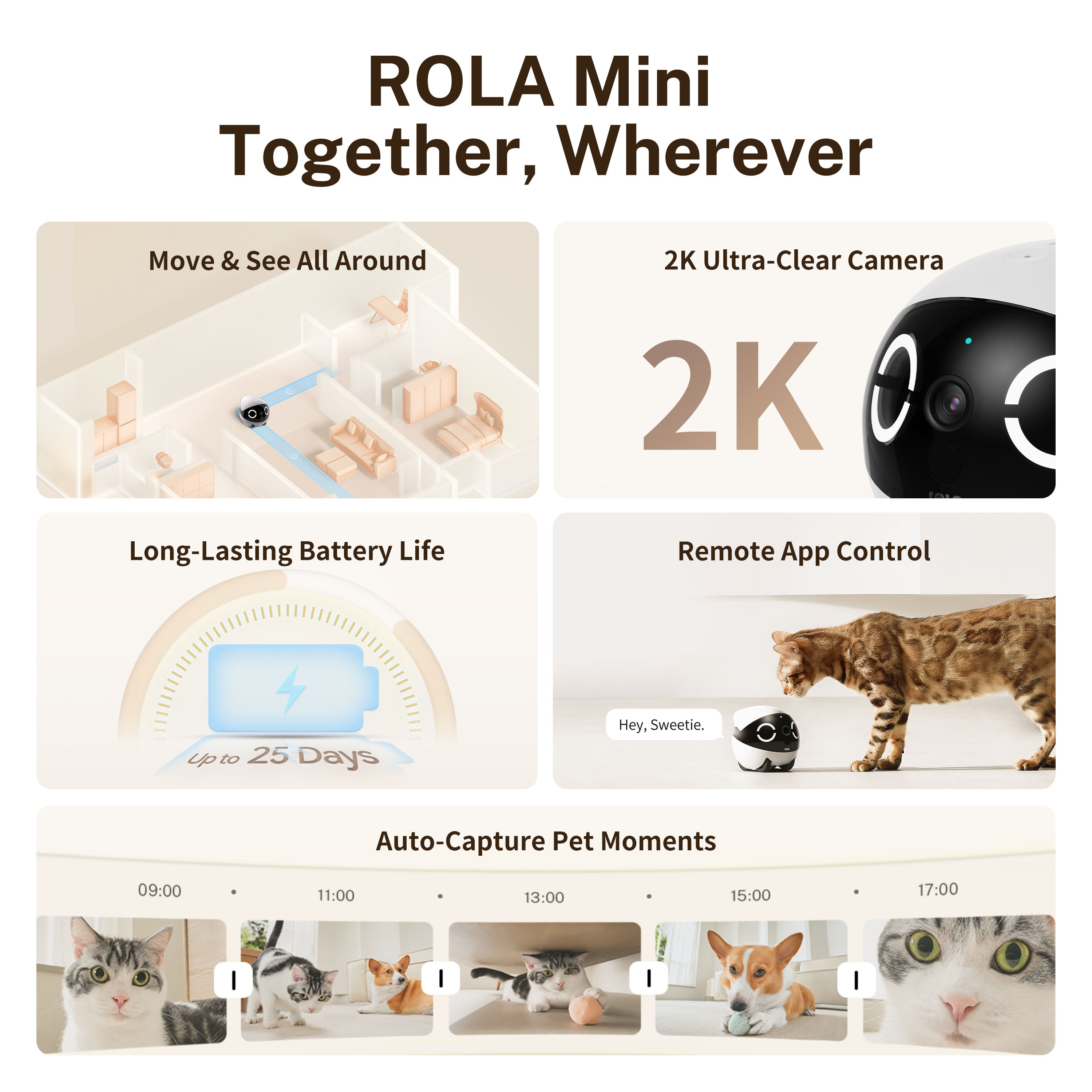 ROLA Mini Significant Other Ro - Home Security Robots ulasan dan harga